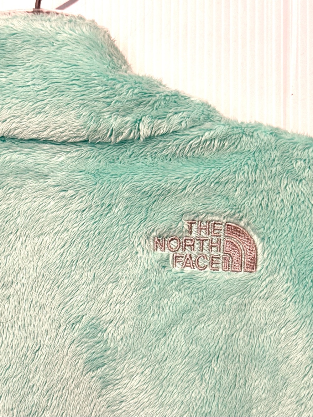 The North Face Full Zip Osito Jacket in Mint Green (s) - Picture 8 of 12